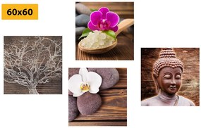 Set tablouri Feng Shui în design natural