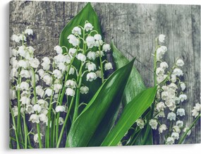 Tablou cu lăcrimioare (70x50 cm)