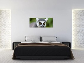 Tablou cu lemur (120x50 cm)