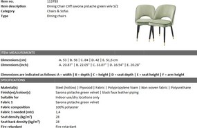 Set de 2 scaune design elegant Cliff, verde 113783 HZ