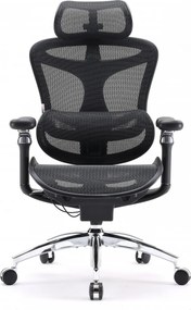 Scaun Ergonomic SIHOO Doro C300 Pro M101, Suport Lombar Adaptiv Inteligent, Spătar Reglabil pe Înălțime, Tetieră 3D, Cotiere 6D PU, Șezut Glisant, Reclinare 135°, Mesh, Negru