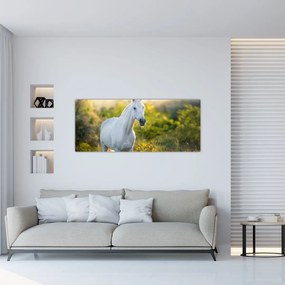 Tablou - Cal alb în poină (120x50 cm)