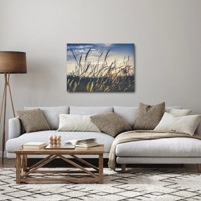 Tablou cu flori de câmp (70x50 cm)