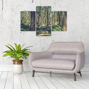 Tablou cu drum între copaci (90x60 cm)