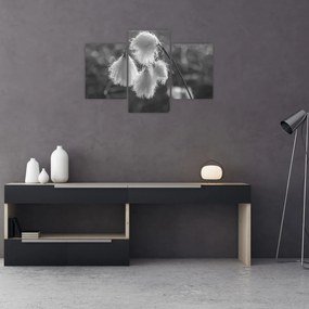 Tablou - Iarba de bumbac (90x60 cm)