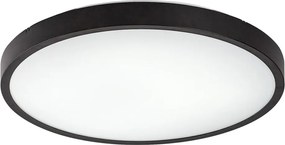 Plafoniera pentru baie, Protectie IP44 Alenzo D-35,5cm negru, alb