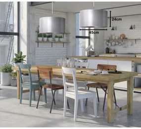 Duolla - Lustră pe cablu CANNES 1xE27/15W/230V d. 45 cm argintie