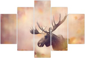 Tablou - Pădure în frunze de toamnă (150x105 cm)