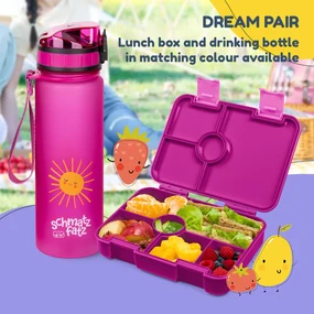 schmatzfatz by Lite, caserolă pentru gustări, 6 compartimente, 20,8 × 4,5 × 15 cm (L x Î x l), fără BPA, Tritan extra ușor
