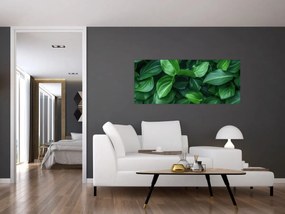 Tablou - Frunze verzi (120x50 cm)