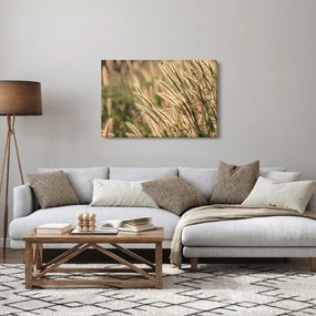 Tablou - Cereale (90x60 cm)
