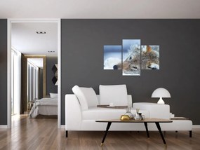 Tablou - Lup (90x60 cm)