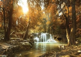 Fototapet - Cascada în pădurea de toamnă (254x184 cm)