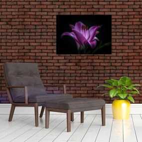 Tablou crinul (70x50 cm)
