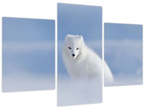 Tablou - Vulpe polară (90x60 cm)