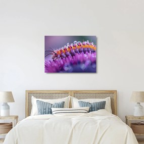 Tablou pe sticlă - Caterpillar (70x50 cm)