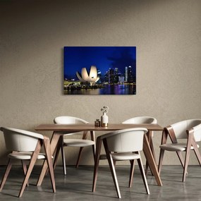 Tablou Singapore nocturn (90x60 cm)