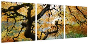 Tablou - Arțarul japonez galben, Portland, Oregon (cu ceas) (90x30 cm)