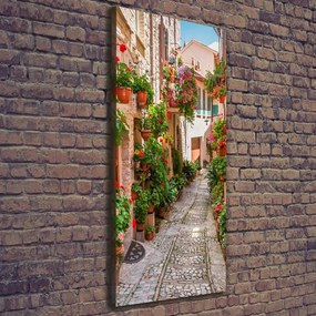 Print pe canvas Străzile italiene