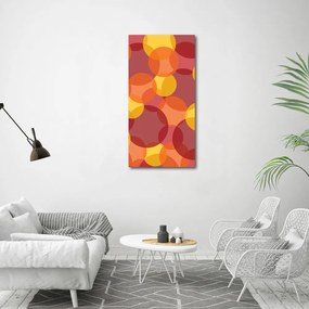 Tablou pe pânză Cercuri colorate