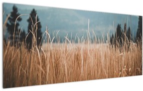 Tablou - detaliu spațiului de luncă (120x50 cm)