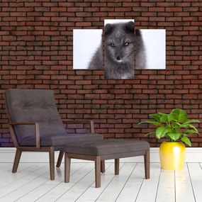 Tablou cu vulpe polară (90x60 cm)