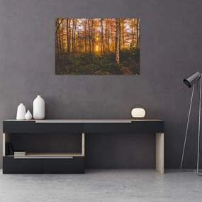 Tablou - Pădurea toamna (90x60 cm)