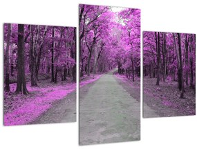 Tablou - drum prin parc (90x60 cm)