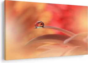 Tablou picăturii de rouă pe floare (90x60 cm)