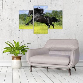 Tablou - Cal cu o coamă curgătoare (90x60 cm)