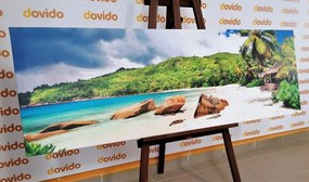 Tablou Seychelles tropical