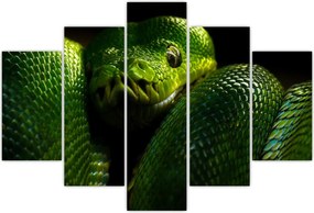 Tablou - Șarpele verde (150x105 cm)