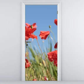Fototapet pentru ușă - Maci (95x205cm)