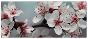 Tablou cu floare - roșie (120x50 cm)