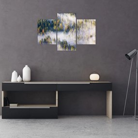 Tablou - Copac în ceață (90x60 cm)