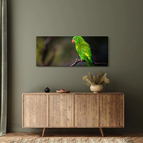 Tablou cu papagal pe greangă (120x50 cm)