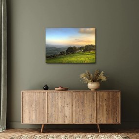 Tablou - Privire de pe deal (70x50 cm)