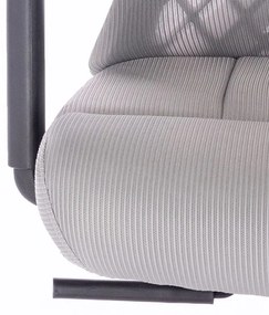 Scaun rotativ ergonomic de birou Ergomax gri deschis