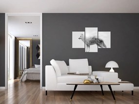 Tablou - Lupul arctic oglindit în peisajul sălbatic, alb-negru (90x60 cm)