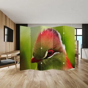 Paravan - Pasărea colorată (210x170 cm)