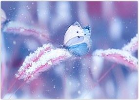 Tablou - Fluturi iarna (70x50 cm)