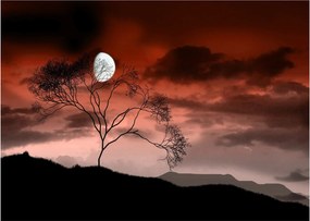 Tablou pe sticlă - Luna luminează noaptea (70x50 cm)
