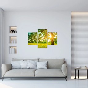 Tablou - Pădurea însorită (90x60 cm)