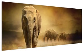 Tablou cu elefant (120x50 cm), în 40 de alte dimensiuni noi