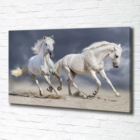 Pictură pe pânză White beach horse