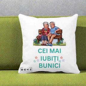 Cadou pentru Bunici - Perna Personalizata Cei Mai Iubiti Bunici Cuplu pe Banca Ilustratie, 40x40 cm, Alba Mata, Husa Detasabila, Perna Inclusa, BEKZ®