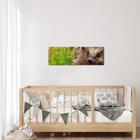 Tablou cu arici (cu ceas) (90x30 cm)