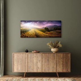 Tablou peisajului (120x50 cm)