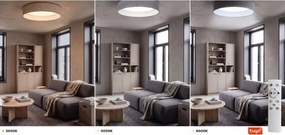 Brilagi - Lampă LED dimabilă, corp de iluminat mare, plafonieră 36W/230V 3000-6000K Ø 55 cm gri WT + telecomandă
