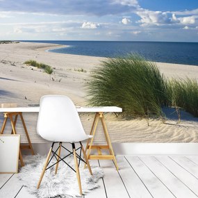 Fototapet - Plaja Mării Nordice (254x184 cm), în 8 de alte dimensiuni noi